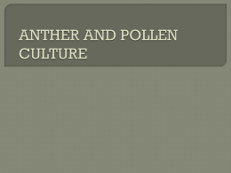 ANTHER AND POLLEN CULTURE Amrapali File