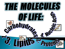 Biochemistry Molecules of Life