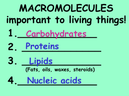 macromolecules23