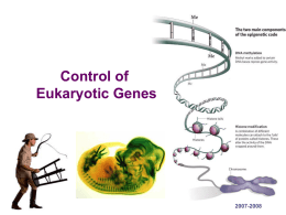 6 Eukaryotic Gene Control 2011
