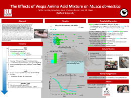 The Effects of Vespa Amino Acid Mixture on - Eco-physlab