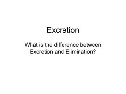 Excretion