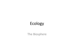 The Biosphere Powerpointx