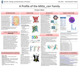 Final Poster- Mitochondrial carrier protein family