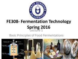 fermentation?