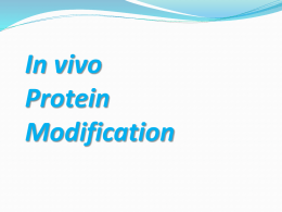 Protein Biosynthesis at Three Levels of Modifications