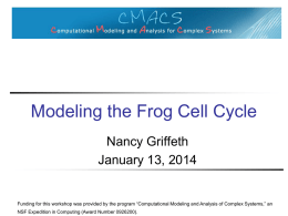 The Frog Cell Cycle