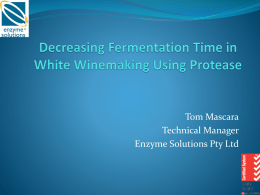 Decreasing Fermentation Time in White
