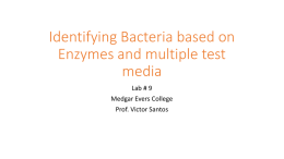 Identifying Bacteria based on Enzymes and multiple