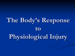 The Body*s Response to Injury