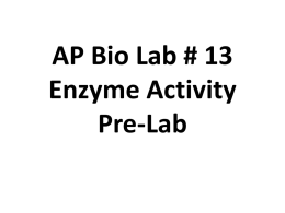 AP Bio Lab # 13 Enzyme Activity