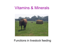 VitaminsandMinerals definitions and functions