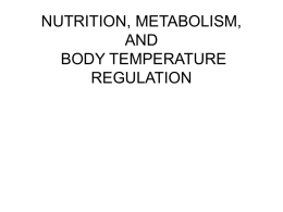 nutrition, metabolism, and body temperature regulation