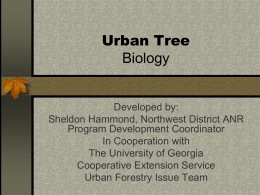 Urban Tree Biology - Urban Forestry South