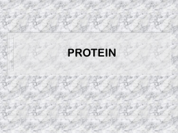 protein - Nutrition Educators of Health Professionals