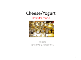 Cheese/Yogurt