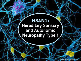 Molecular Aspects of Hereditary Sensory Neuropathy Type 1