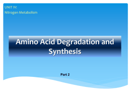Ch20.2 Amino-acids-degradation and synthesis