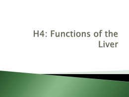 H4: Functions of the Liver