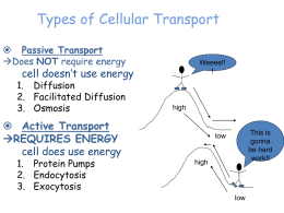 Facilitated Diffusion and Active Transport PPT