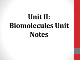 2016-17 OL Biomolecules notes