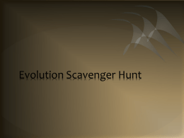 Evolution Scavenger Hunt