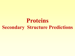 Proteins Secondary Structure Predictions