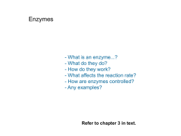 enzyme - share1