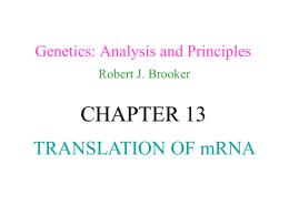 Translation of mRNA File - E-Learning/An