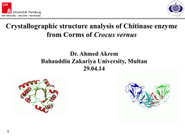 1 Crystallographic structure analysis of Chitinase enzyme from