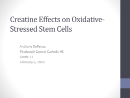 Creatine Effects on Oxidatively Stressed Stem Cells