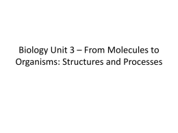 Biology Unit 3 * From Molecules to Organisms: Structures and