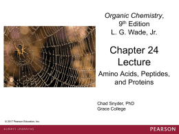Chapter 24 Amino Acids, Peptides, and Proteins