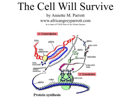The Cell Will Survive