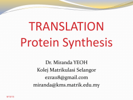 Translation (Protein Synthesis)