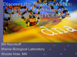 Biotechnology, Microbiology, and PCR Basics