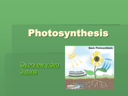 Photosynthesis and respiration