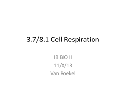 8.1 Cell Respiration - IB BiologyMr. Van Roekel Salem High School