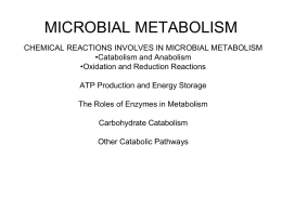 W9 MICROBIAL METABOLISM