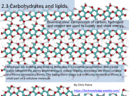 Carbs and Lipids ppt
