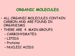 ch. 2 organic molecules carbohydrates