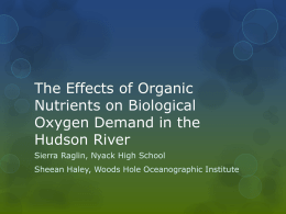The Effects of Organic Nutrients on Biological Oxygen Demand in