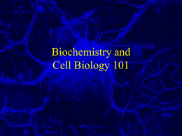 Cells Bio and Biochemistry