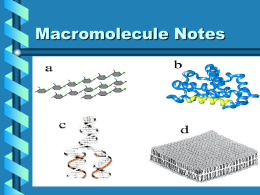 Macromolecule Notes - Ms. Dooley`s Science Class
