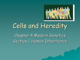 Ch. 4. Modern Genetics