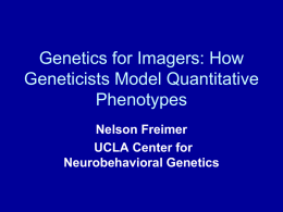 Genetics for Imagers: How Geneticists Model Quantitative Phenotypes