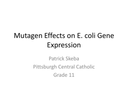 Skeba mutagen gene expression PJAS