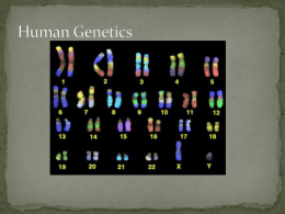 Pedigrees and genetic disorders PP