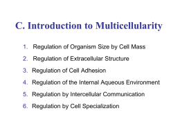 Anatomical Organization in Multicellular Organisms is Based on Cell