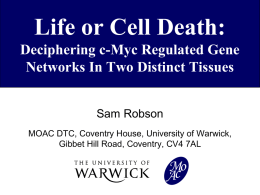 Life or Cell Death: Deciphering c-Myc Regulated Gene Networks In